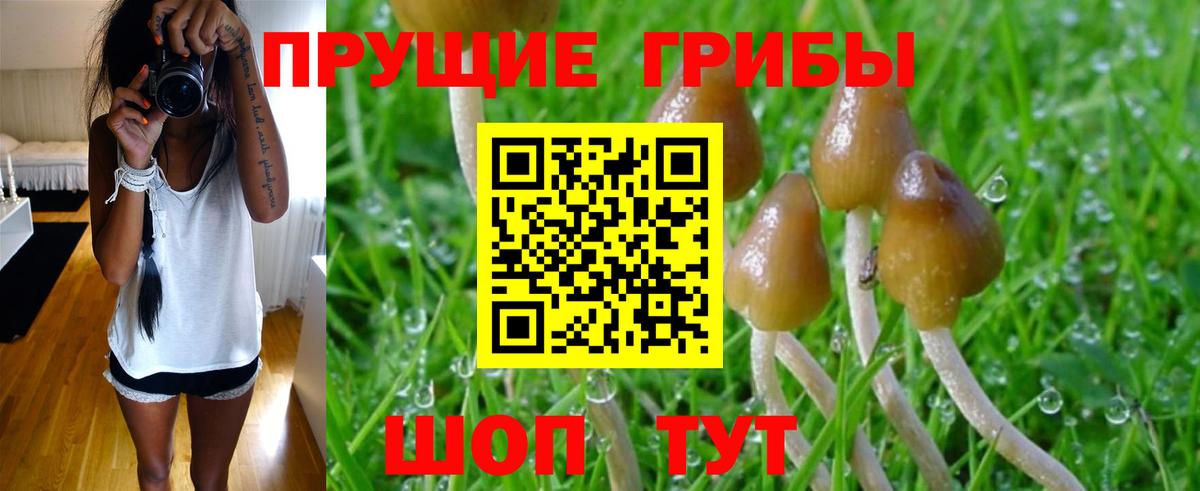 Галлюциногенные грибы мицелий  Псилоцибиновые грибы MAGIC MUSHROOMS  Шахты  Вход с VPN 
