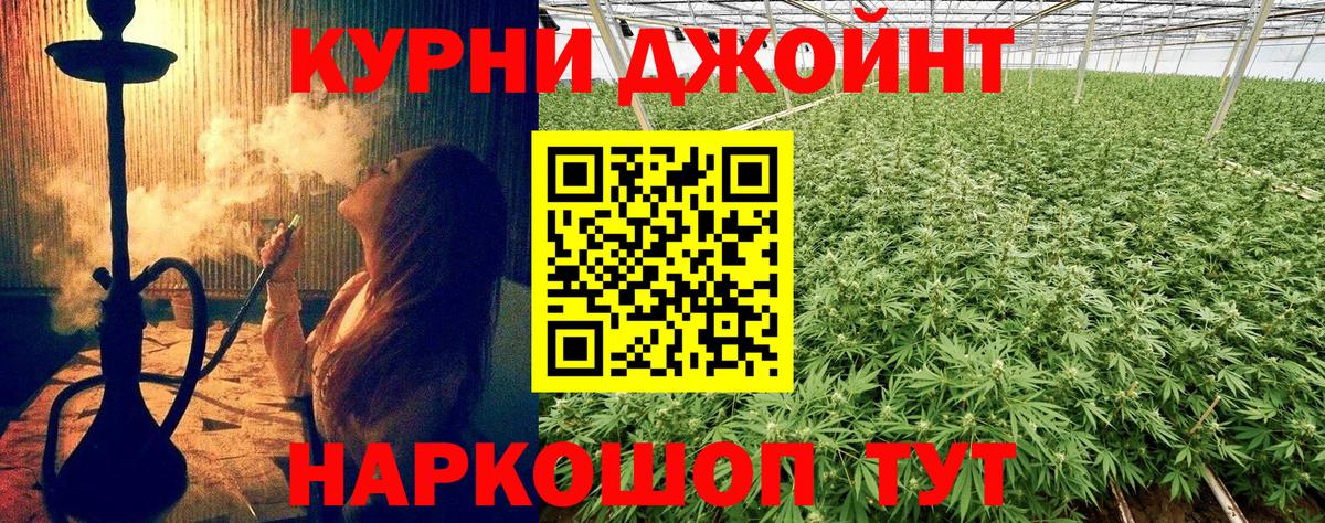 Марихуана план Шахты